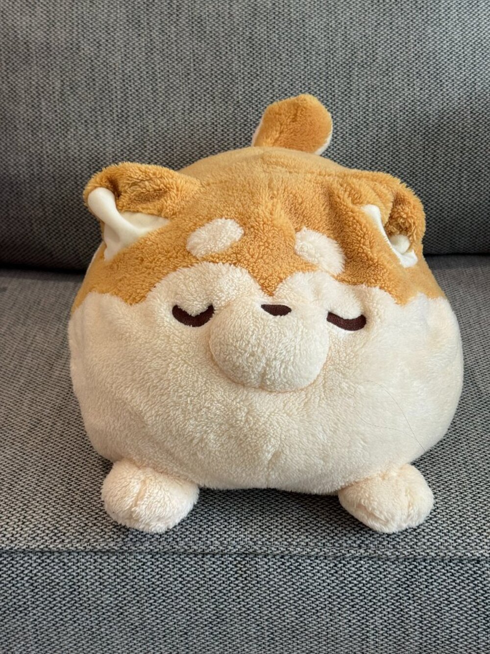 Corgi plush